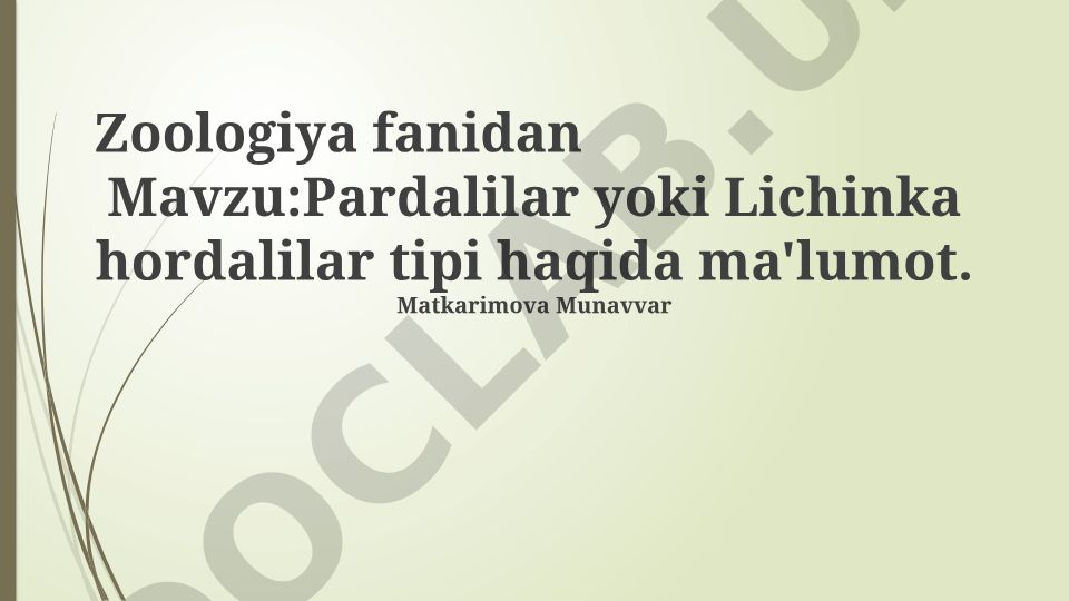 Pardalilar yoki Lichinka hordalilar tipi haqida ma'lumot