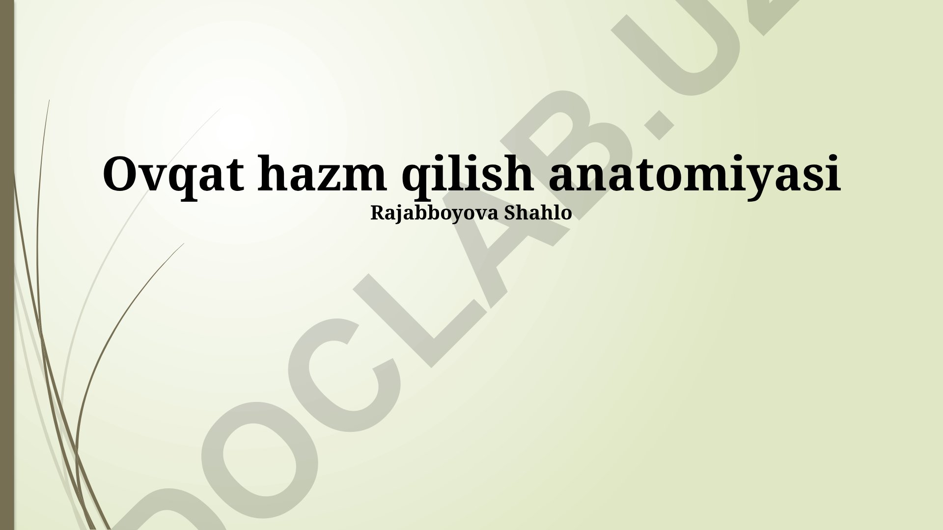 Ovqat hazm qilish anatomiyasi