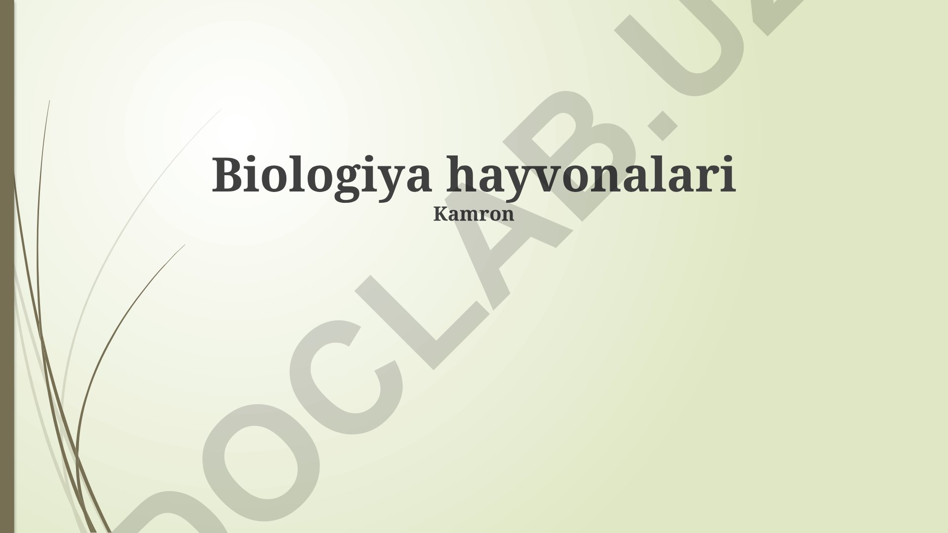 Hayvonlarning biologiyasi: xulq, hujayra tuzilishi va fiziologiya
