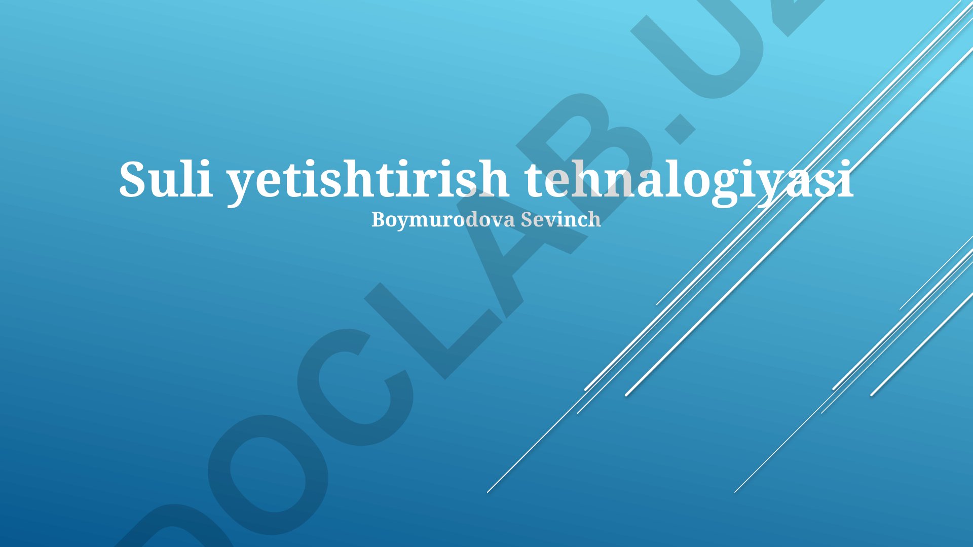 Suli yetishtirish texnologiyalari va hosildorlikni oshirish usullari
