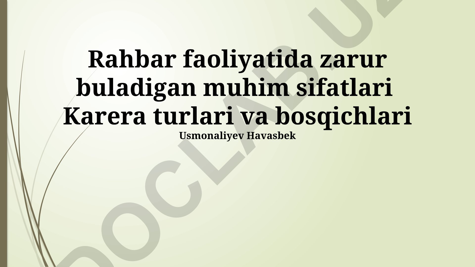 Rahbar faoliyatida zarur sifatlar, martaba turlari va bosqichlari