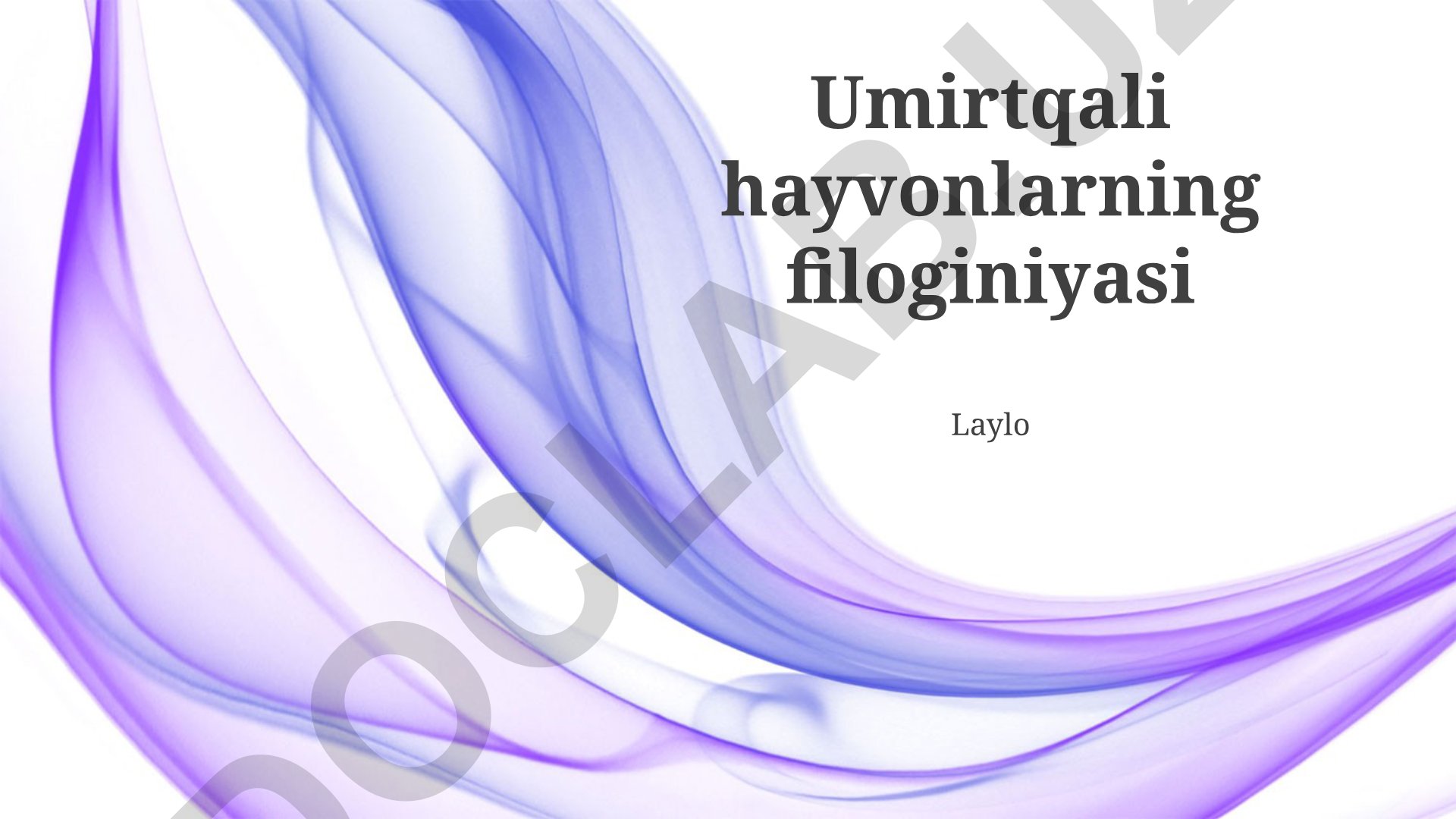 Umurtqali hayvonlarning filoginiyasi va umurtqasiz hayvonlarning filogenetik tahlili