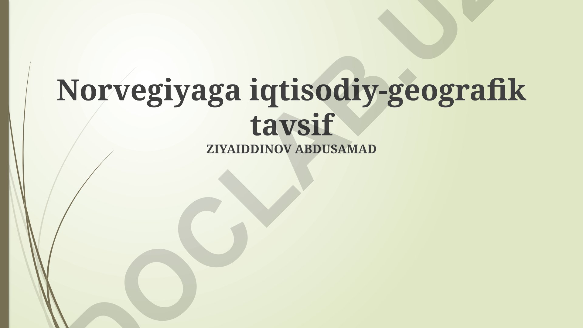 Norvegiyaga iqtisodiy-geografik tavsif