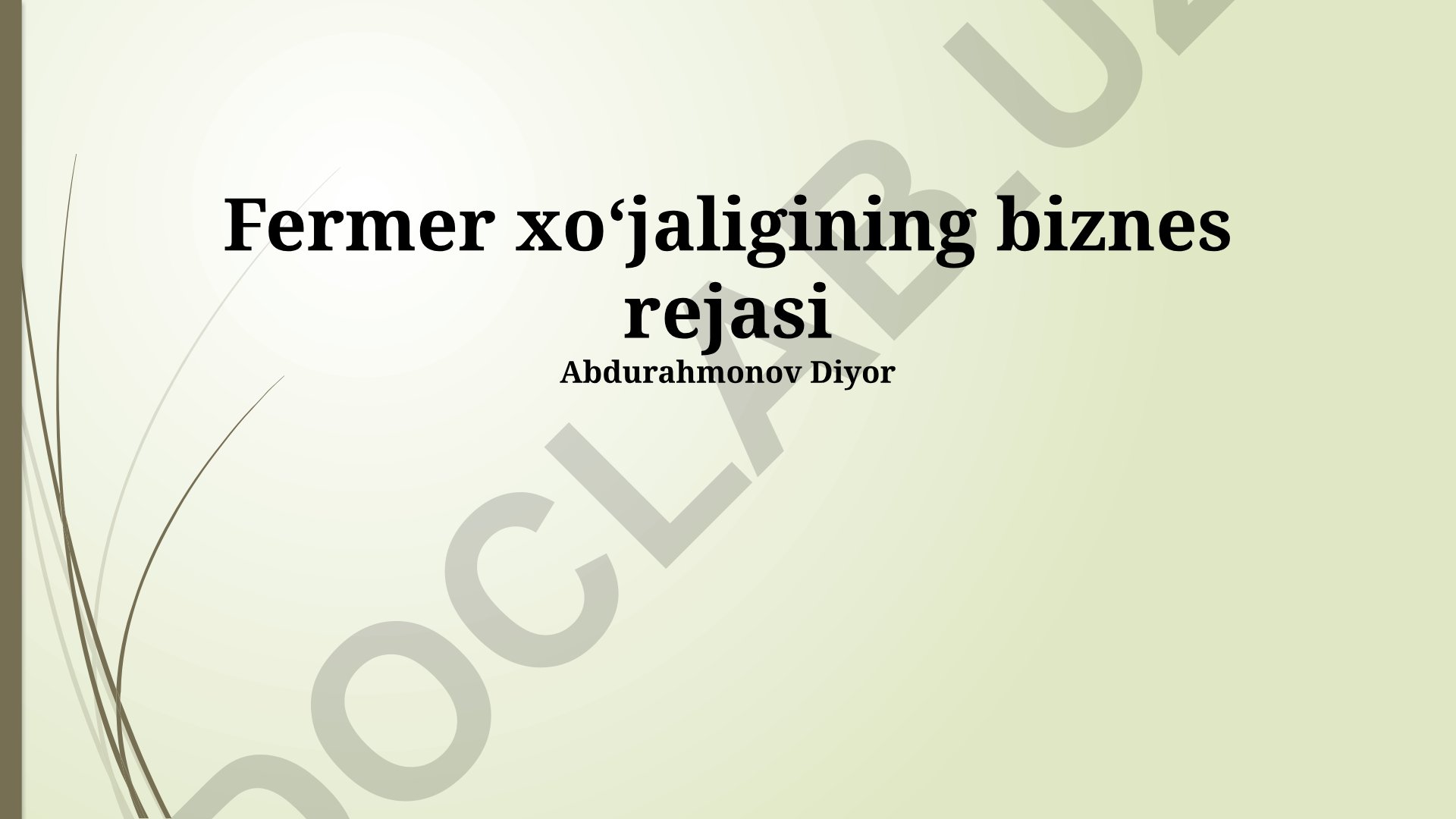 Fermer xoʻjaligining biznes rejasi