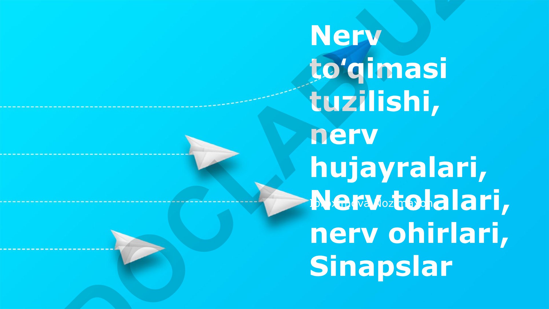 Nerv to'qimasi tuzilishi, nerv hujayralari va sinapslar