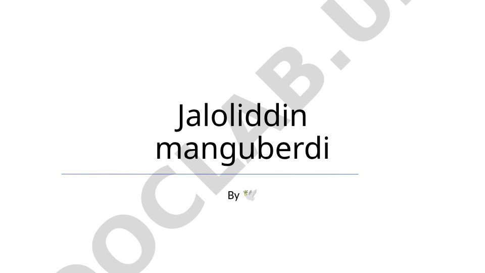 Jaloliddin Manguberdi hayoti va hukmronligi
