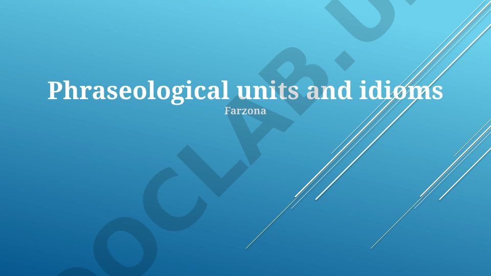 Phraseological units and idioms: definitions, characteristics and classifications