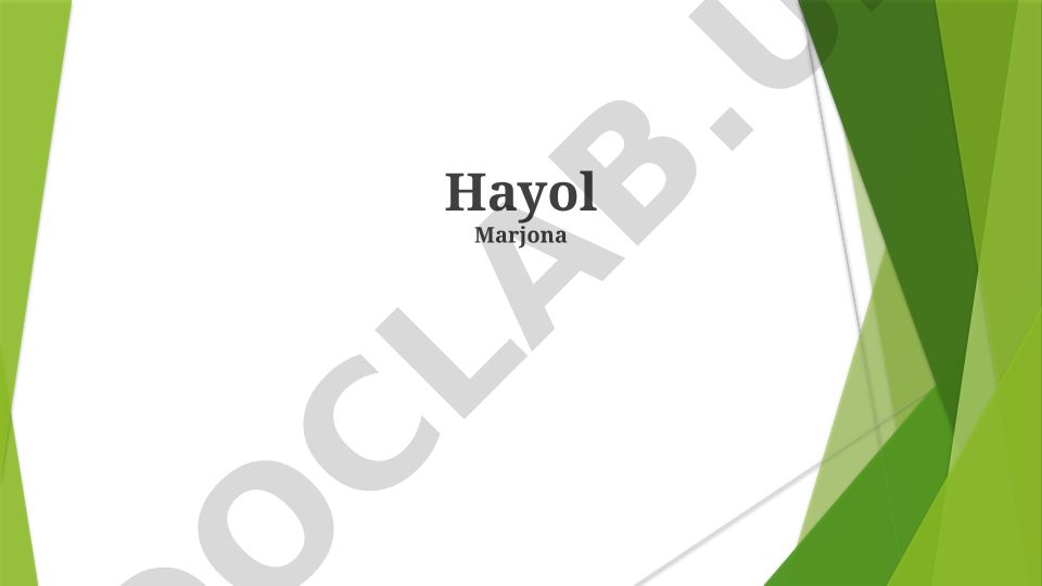 Hayol so'zining ma'nosi va kelib chiqishini o'rganish