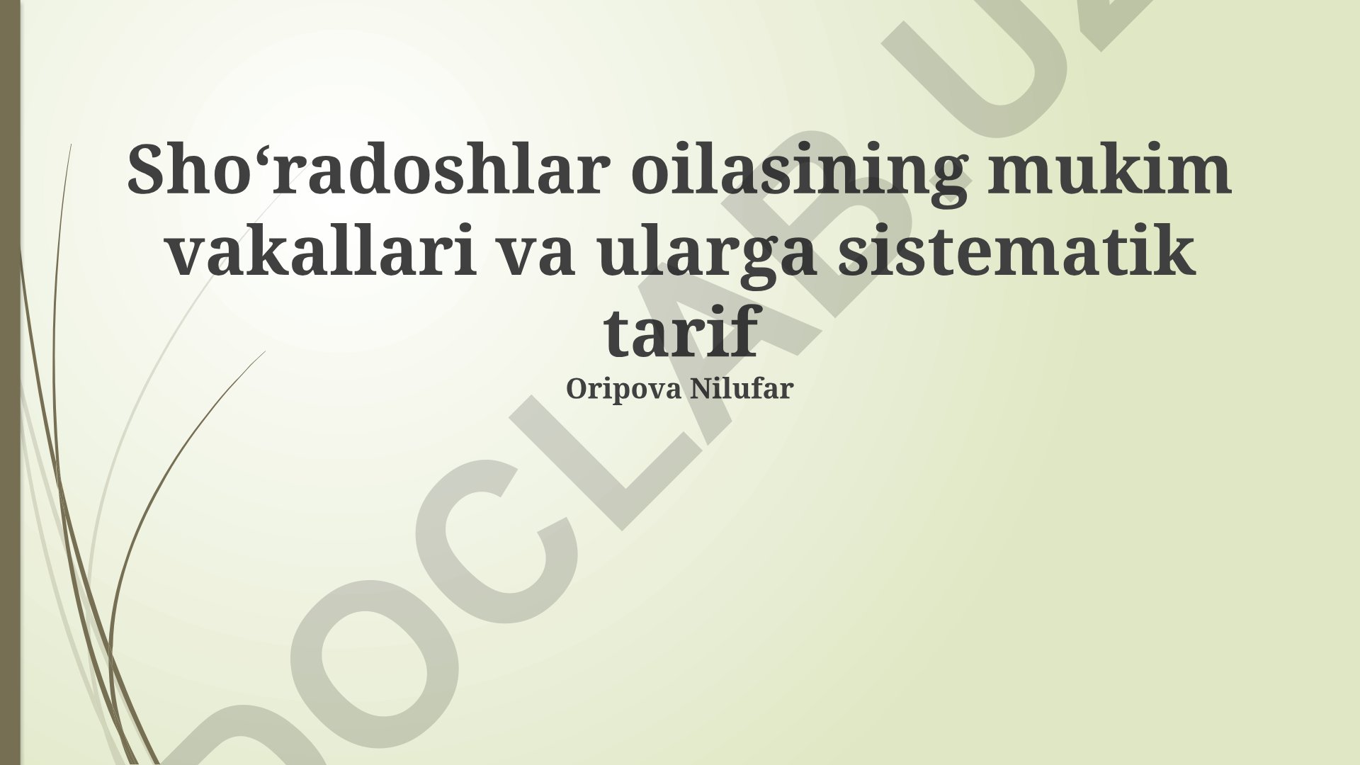 Shoʻradoshlar oilasining sistematik tasnifi va filogenetik aloqalari