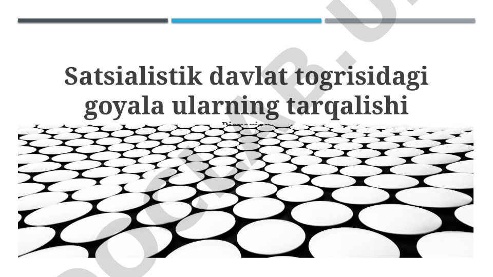 Sotsialistik davlat g'oyasi, tarixi va amaliy modellari