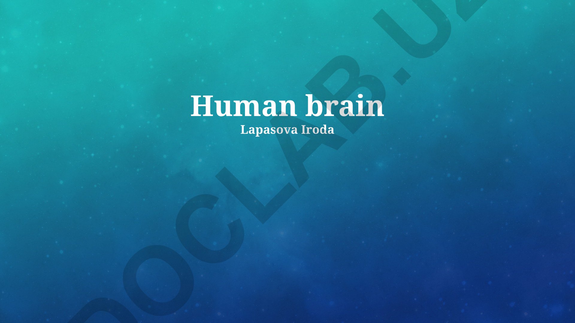 Human Brain Structure, Functions and Disorders