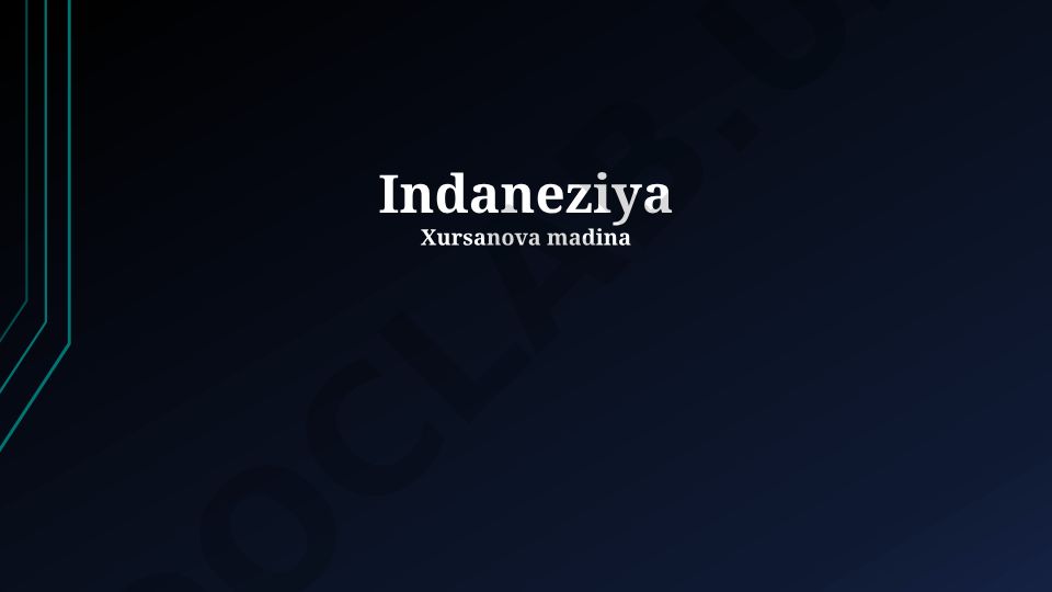 Indoneziya: Tarixi, Geografiyasi, Demografiyasi, Siyosati va Iqtisodiyoti