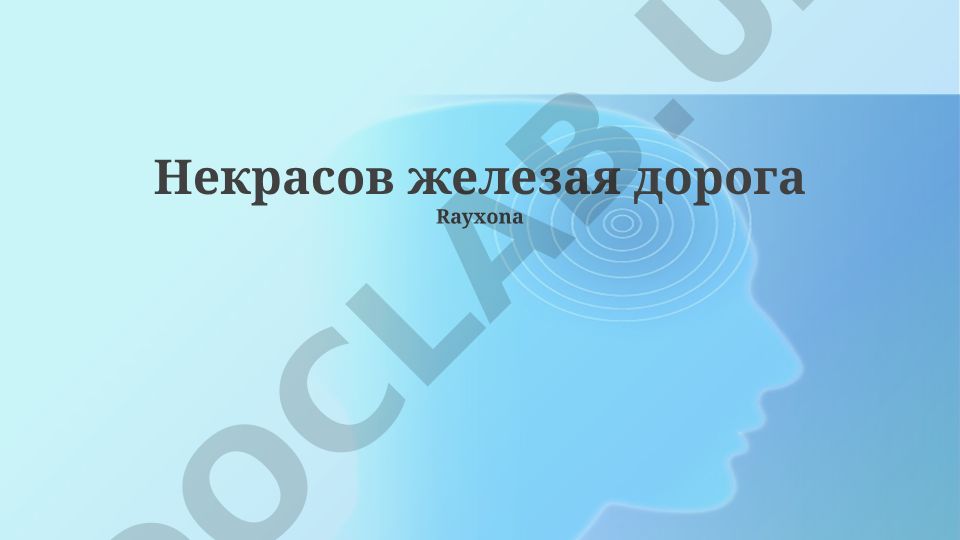 Некрасов «Железная дорога»: мотив одиночества и образ России