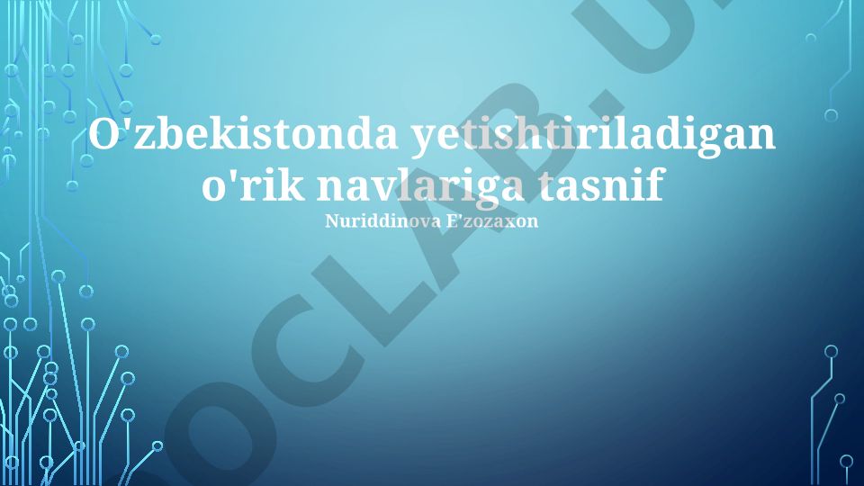 O'zbekistonda yetishtiriladigan o'rik navlarining tasnifi va xususiyatlari