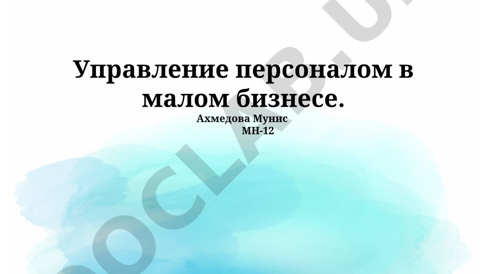 Управление персоналом в малом бизнесе