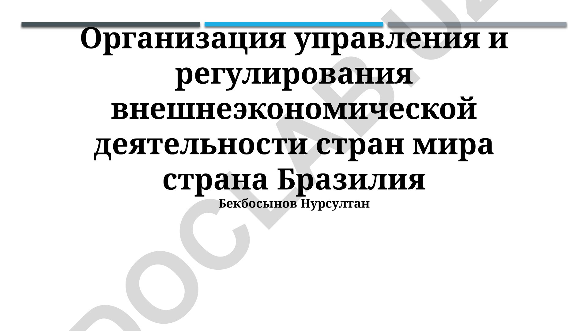 Организация управления и регулирования внешнеэкономической деятельности Бразилии
