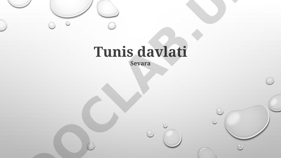Tunis davlatining ijtimoiy, iqtisodiy va siyosiy holati