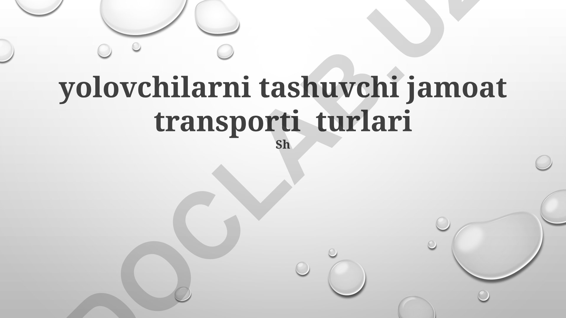 Yolovchilarni tashuvchi jamoat transporti turlari