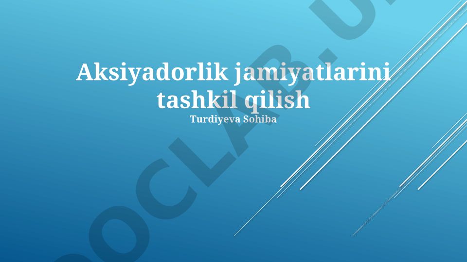 Aksiyadorlik jamiyatlarini tashkil qilish va risklarni boshqarish
