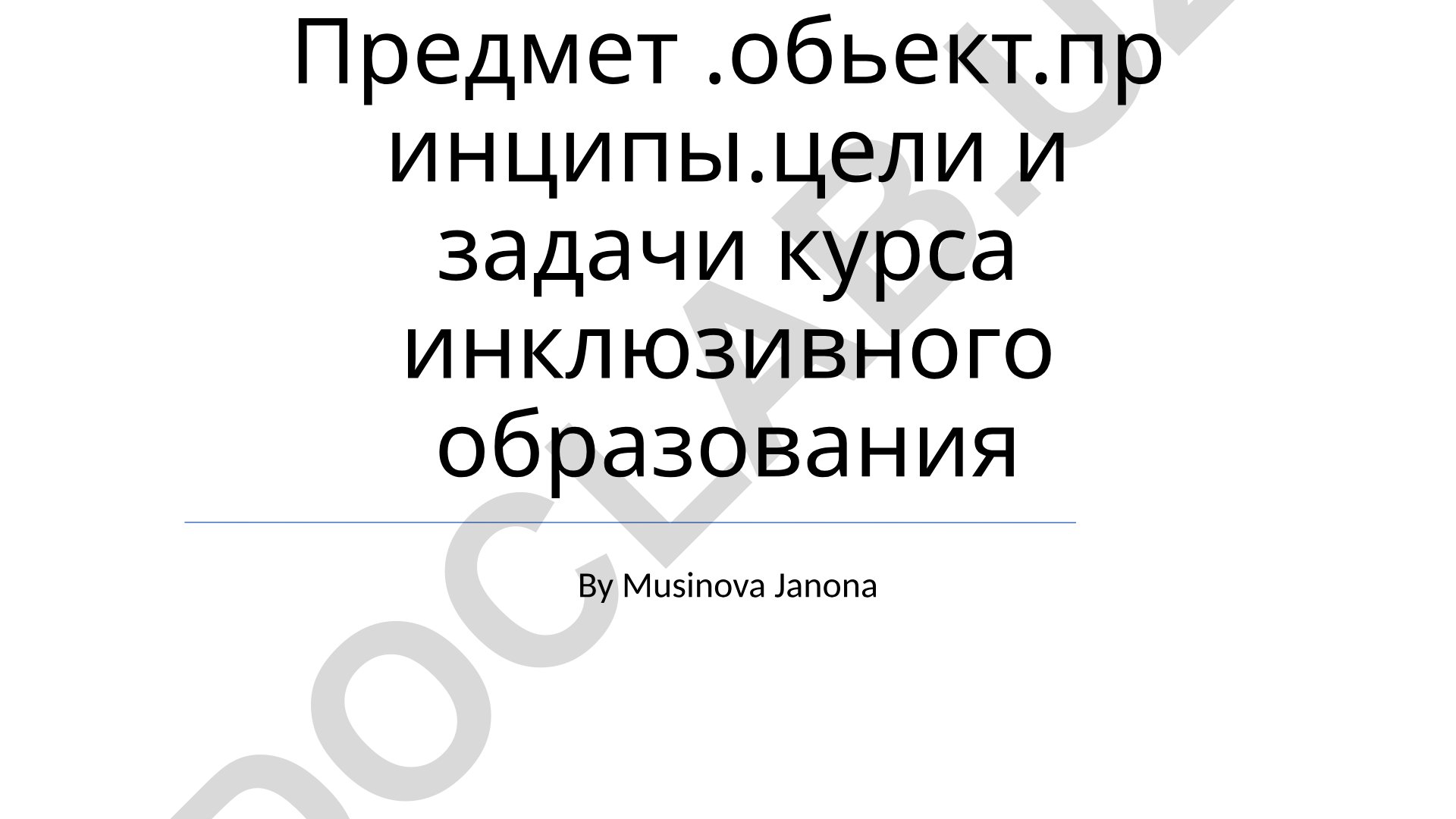 Предмет, объект, принципы, цели и задачи курса инклюзивного образования
