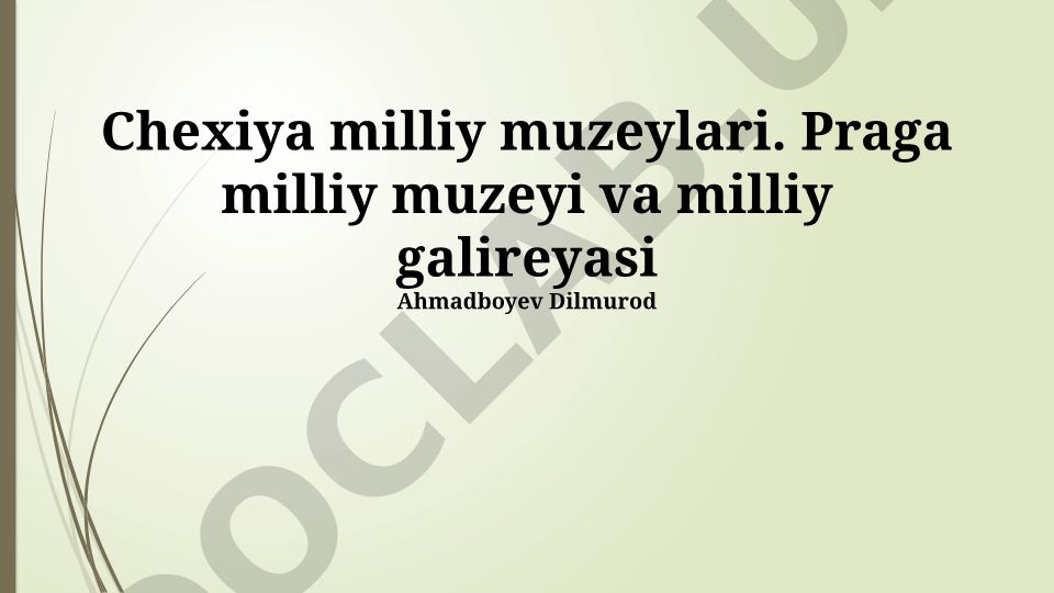 Chexiya milliy muzeylari: Praga milliy muzeyi va milliy galereyasi
