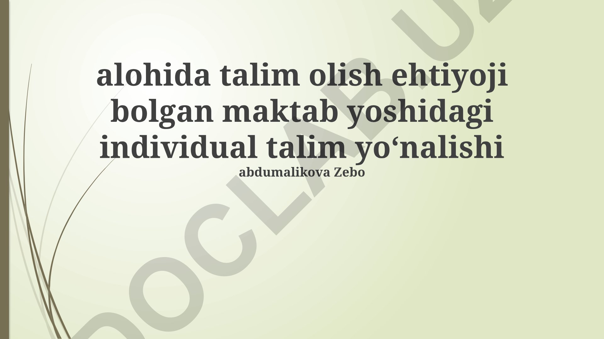 Maxsus ta'limga muhtoj maktab yoshidagi bolalar uchun individual ta'lim dasturi