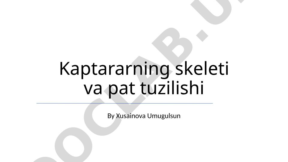 Kaptar skeleti va pat tuzilishi