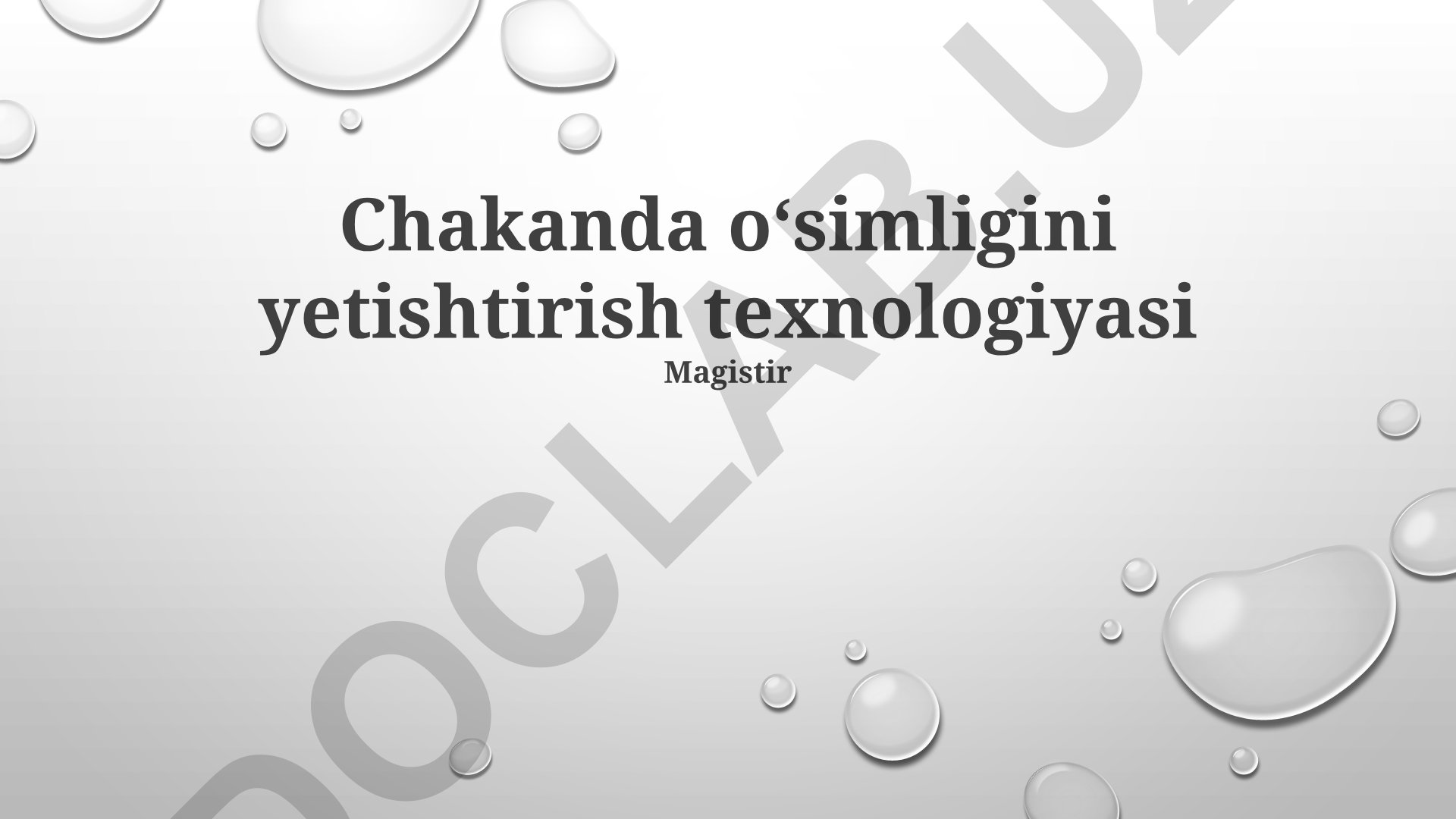 Chakanda oʻsimligini yetishtirish texnologiyasi