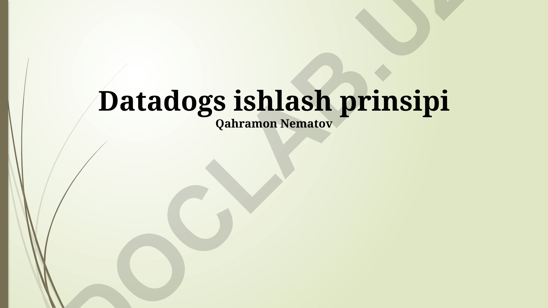 Datadogs ishlash prinsipi va monitoring tizimi
