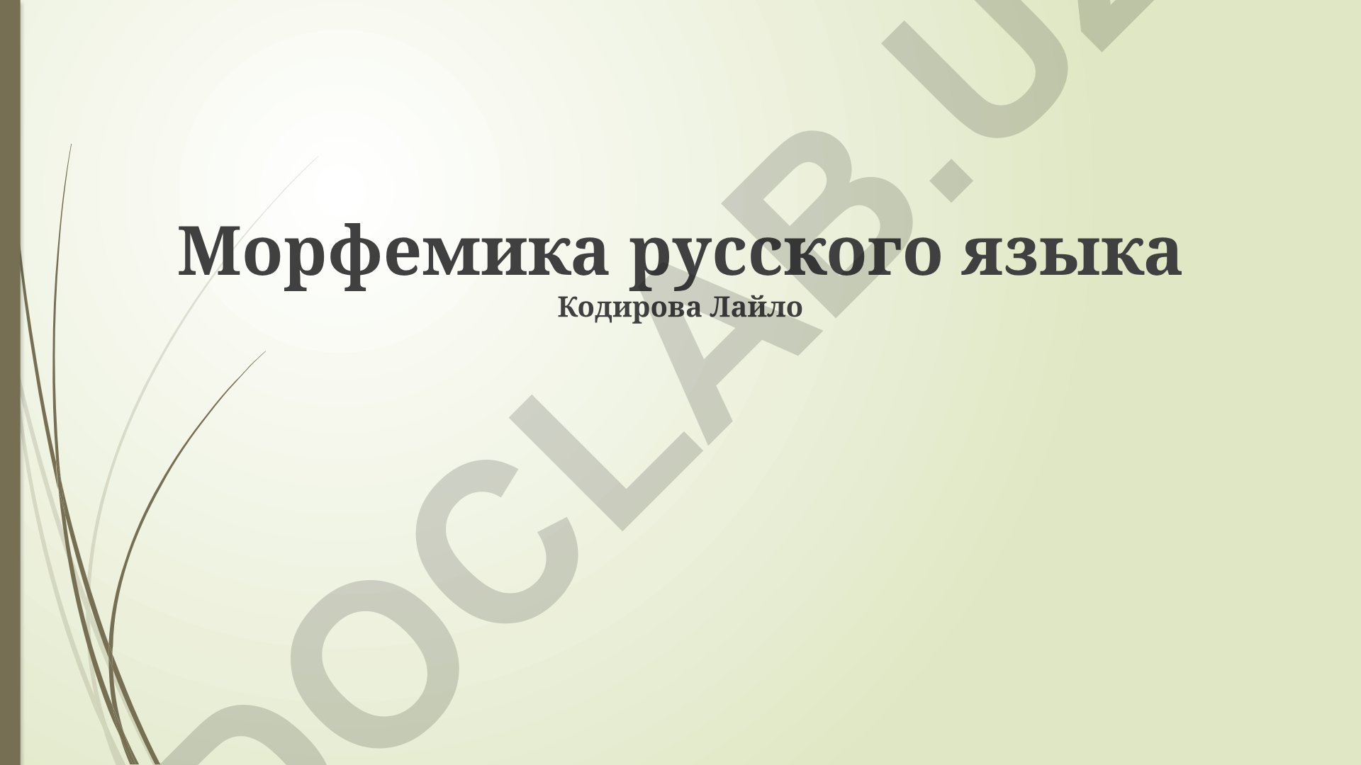 Морфемика русского языка: грамматические признаки, морфологические категории и словообразование