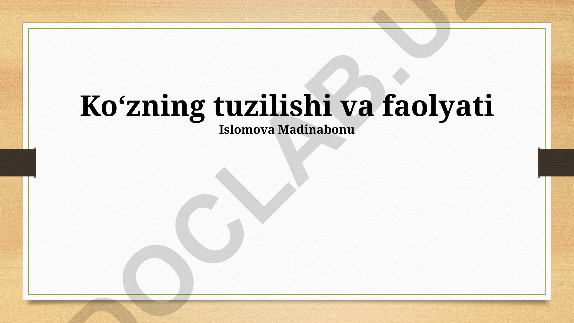 Ko'zning tuzilishi, faoliyati va kasalliklari