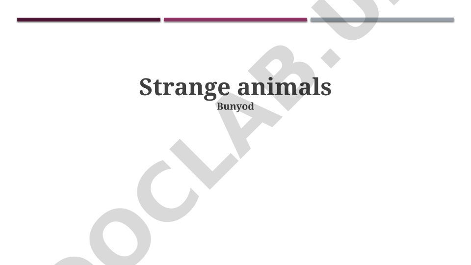Defining 'Strange' & Evolutionary Oddities in Animals