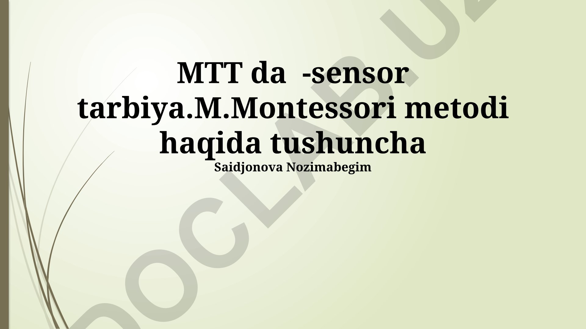 MTT da sensor tarbiya: Montessori metodining asoslari va sensorli mashg'ulotlar