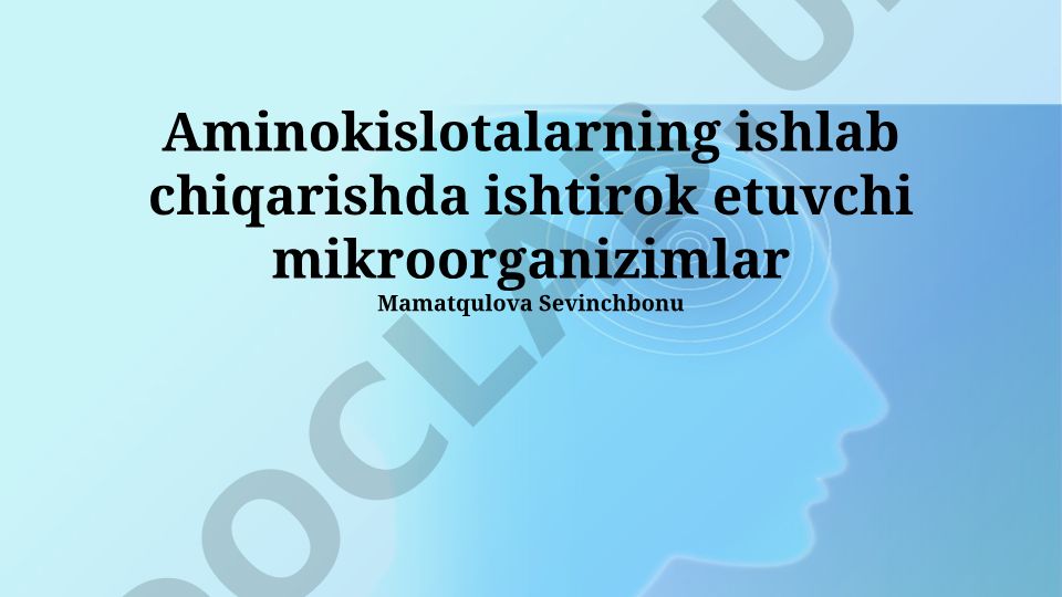 Aminokislotalarning ishlab chiqarishda ishtirok etuvchi mikroorganizimlar