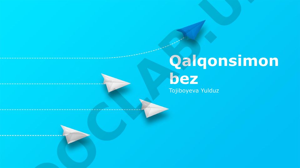 Qalqonsimon bezning tuzilishi, vazifalari, gormonlari va kasalliklari