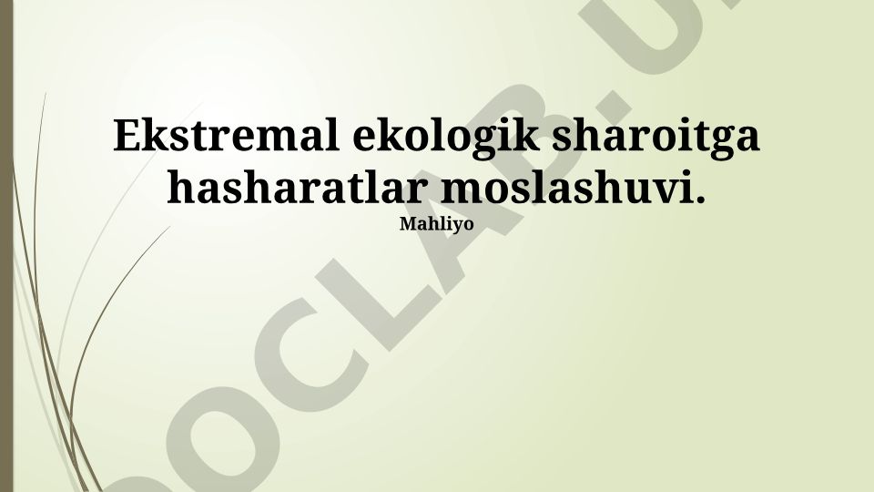 Ekstremal ekologik sharoitga hasharatlar moslashuvi