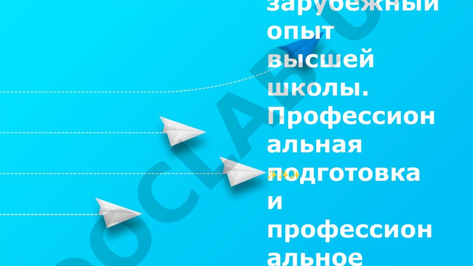 Отечественный и зарубежный опыт высшей школы: профессиональная подготовка на современном этапе