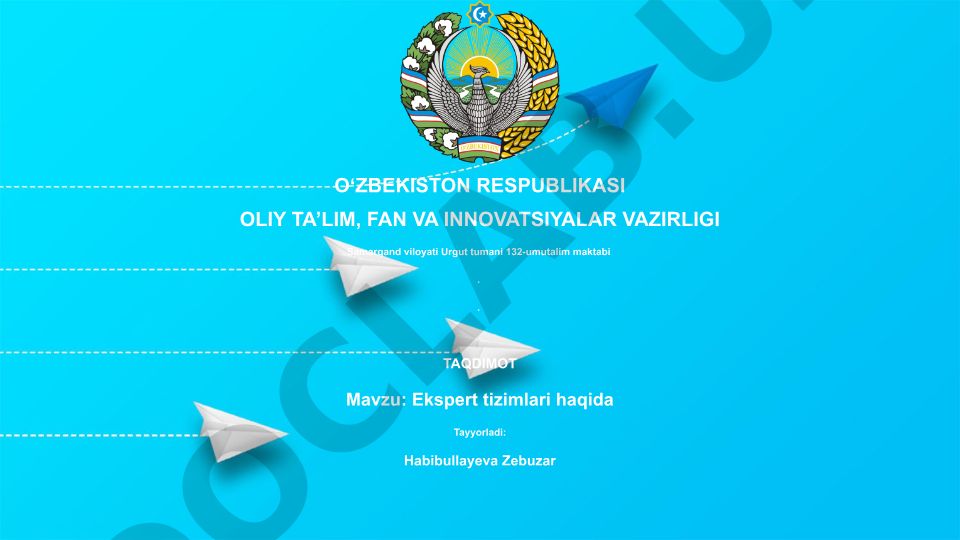Ekspert tizimlari haqida