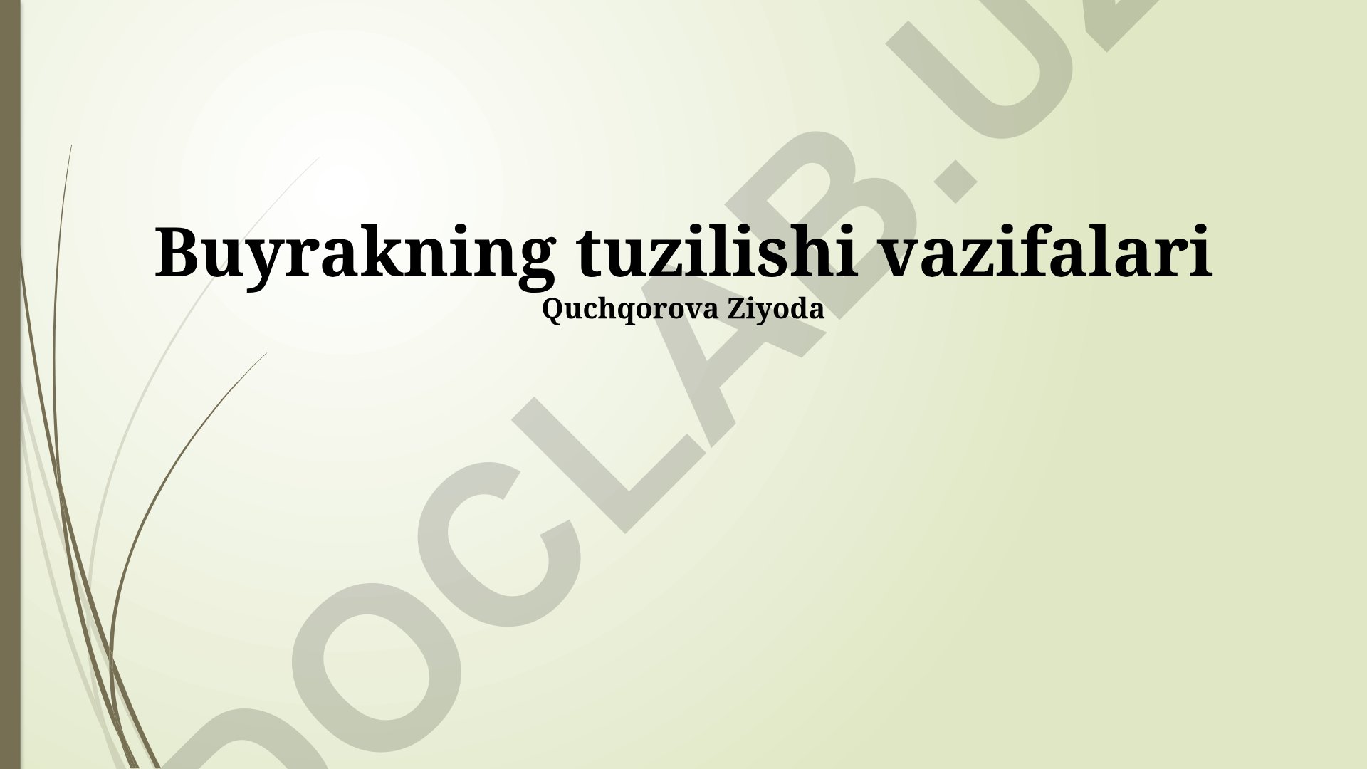 Buyrakning tuzilishi va funksiyalari