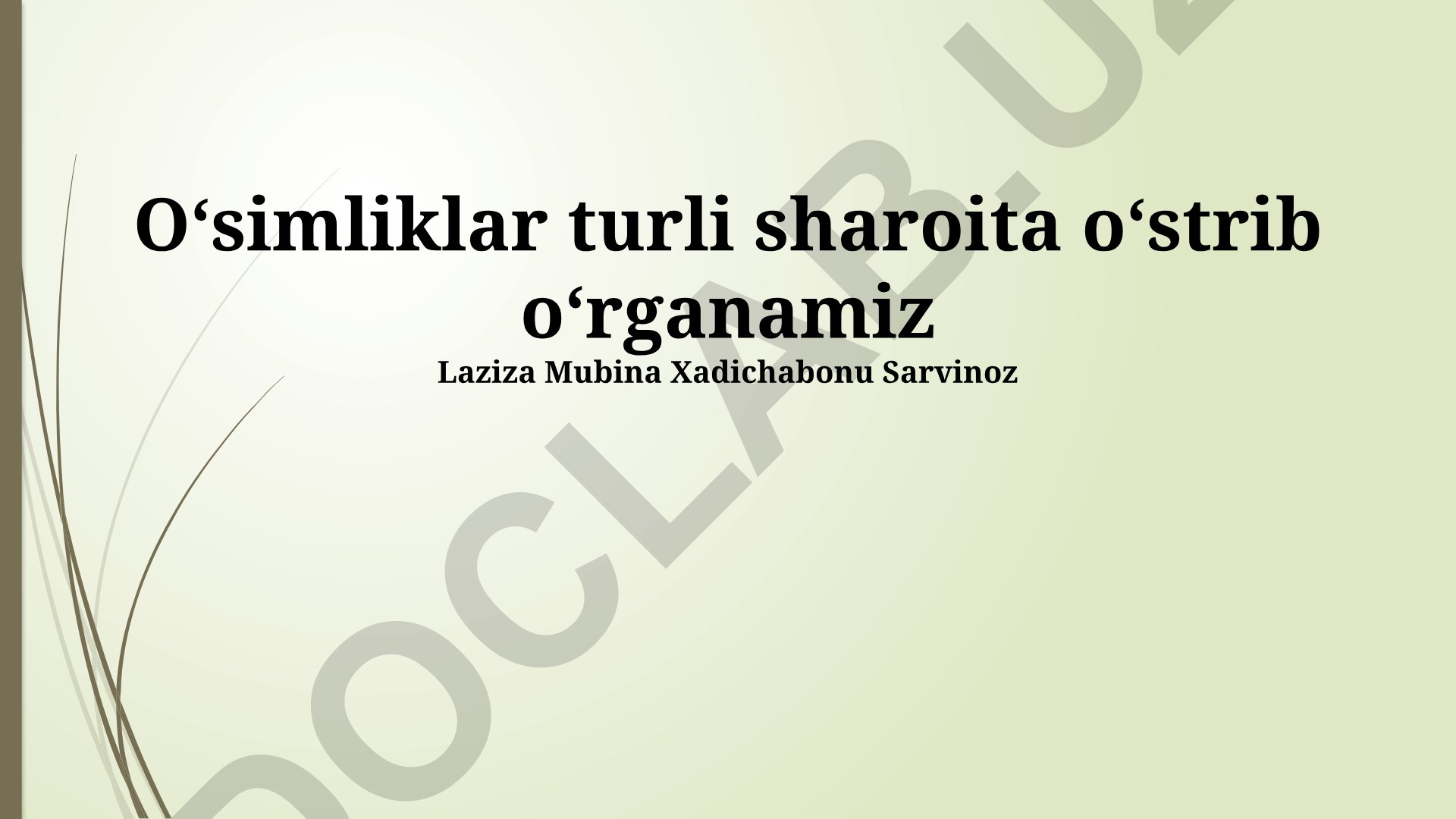 O'simliklarning o'sishiga ta'sir qiluvchi omillar va turli sharoitlarda tajribalar