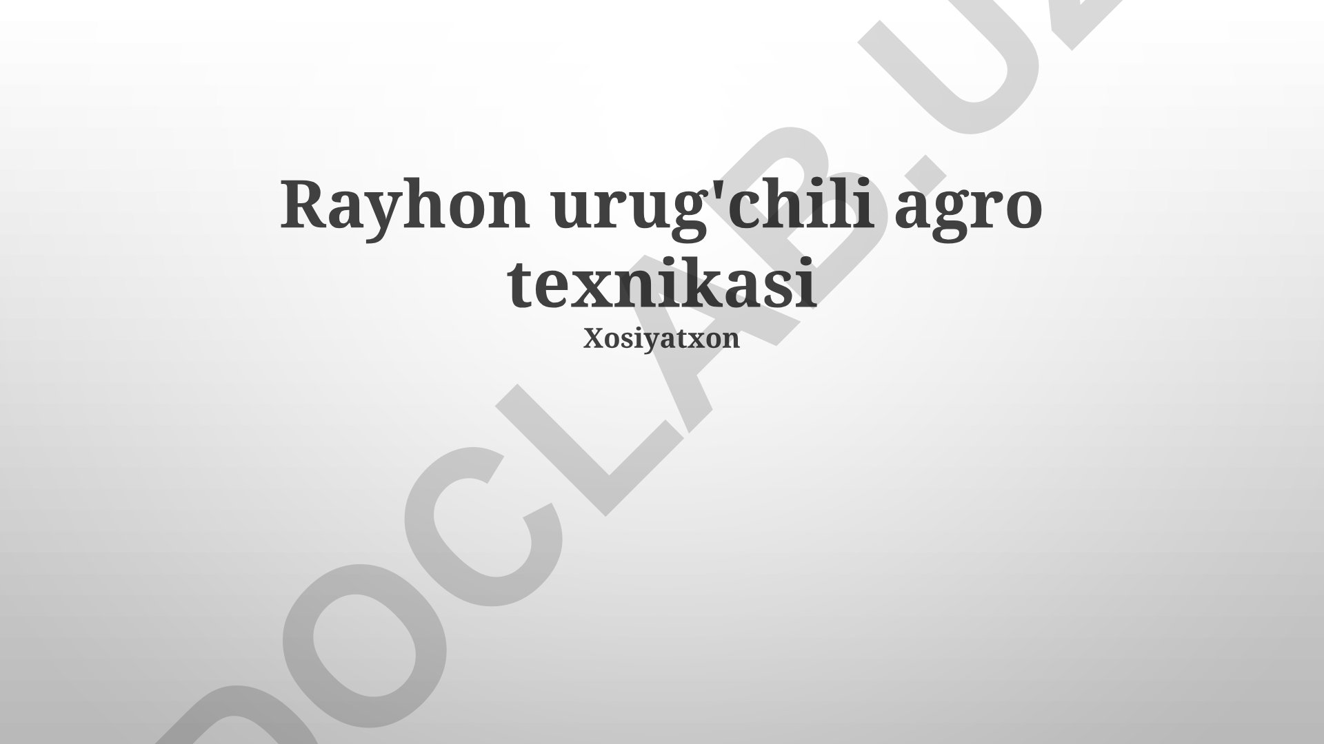 Rayhon urug'chili agro texnikasi