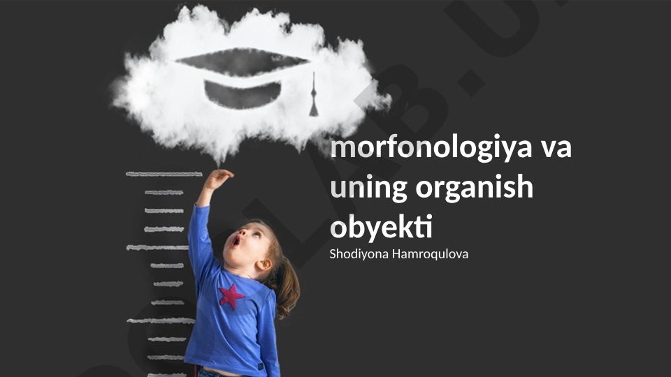 Morfonologiya va uning organish obyekti