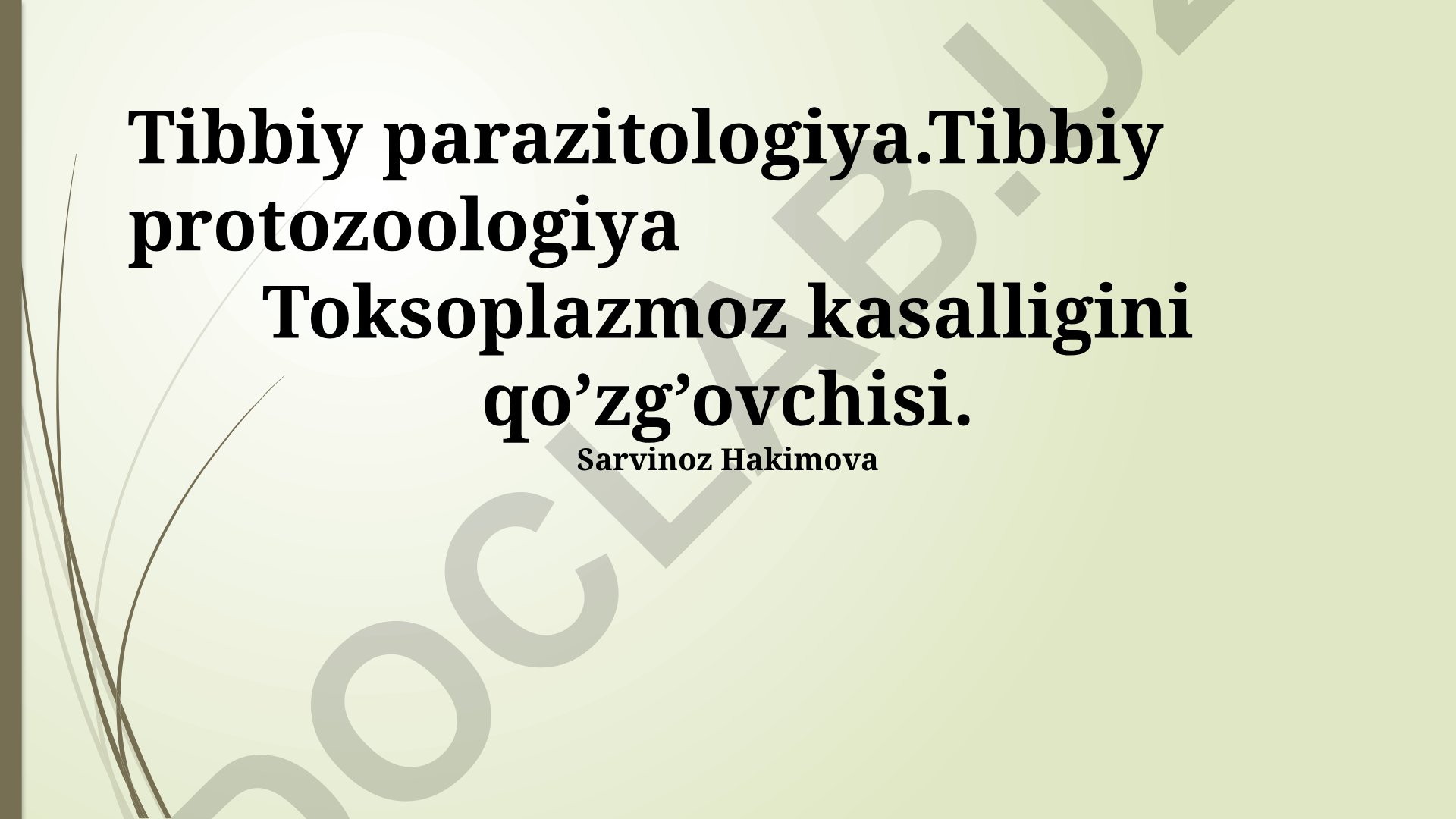 Toksoplazmoz kasalligini qo'zg'ovchisi va profilaktikasi