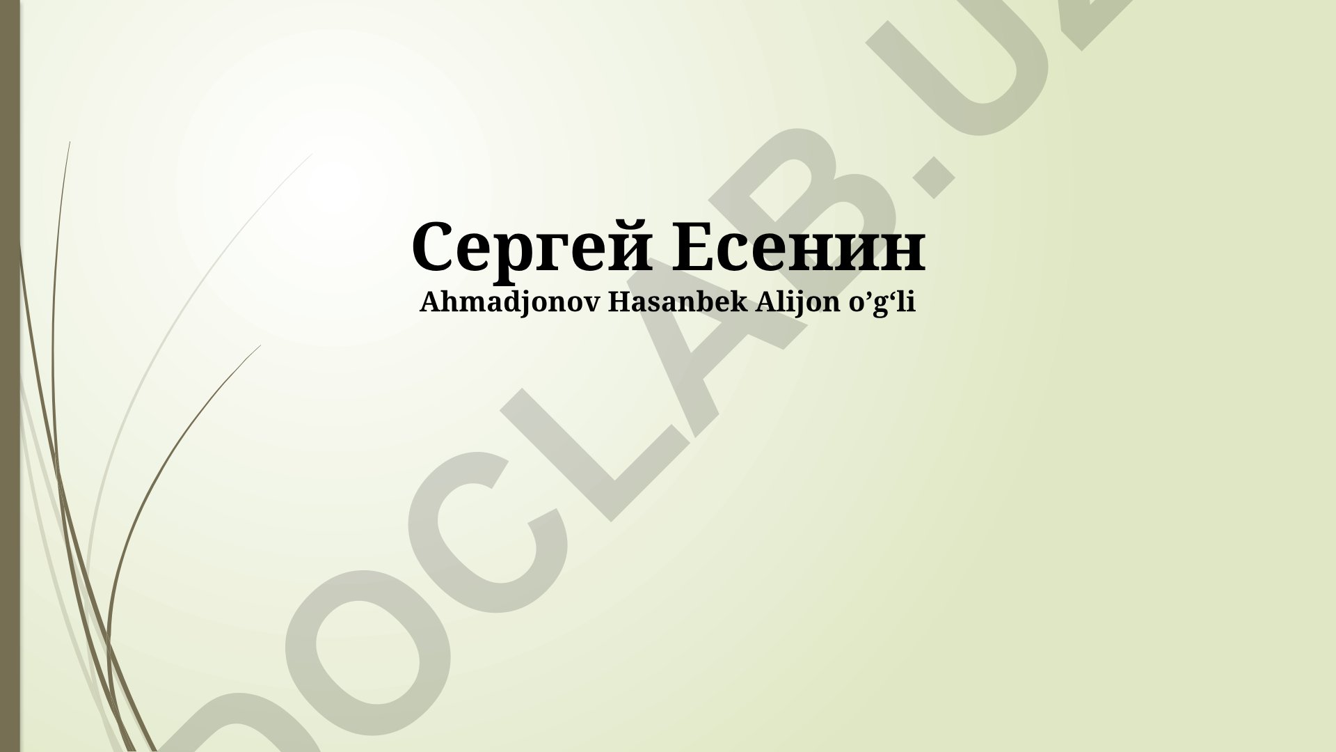 Сергей Есенин: жизнь, творчество и трагическая судьба