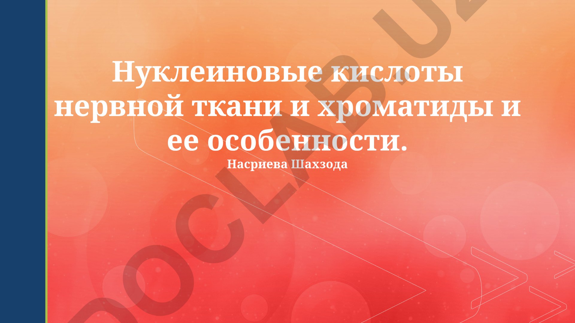 Нуклеиновые кислоты нервной ткани и хроматиды