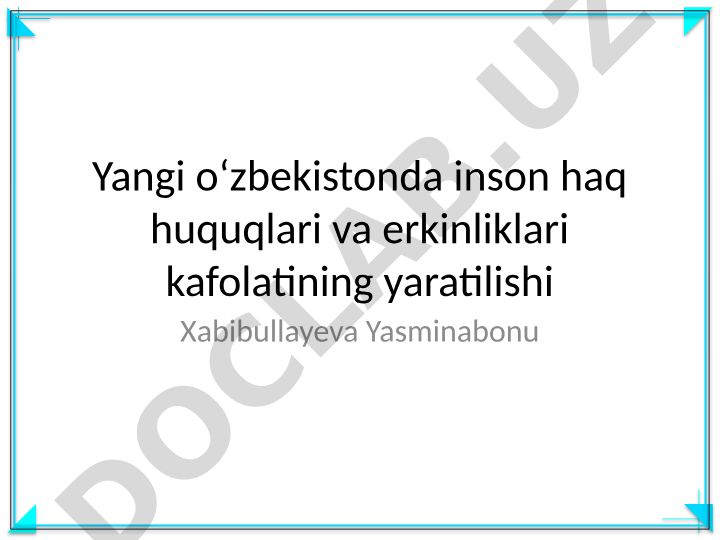 Yangi Oʻzbekistonda inson huquqlari va erkinliklari kafolatlari