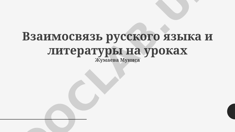 Взаимосвязь русского языка и литературы на уроках