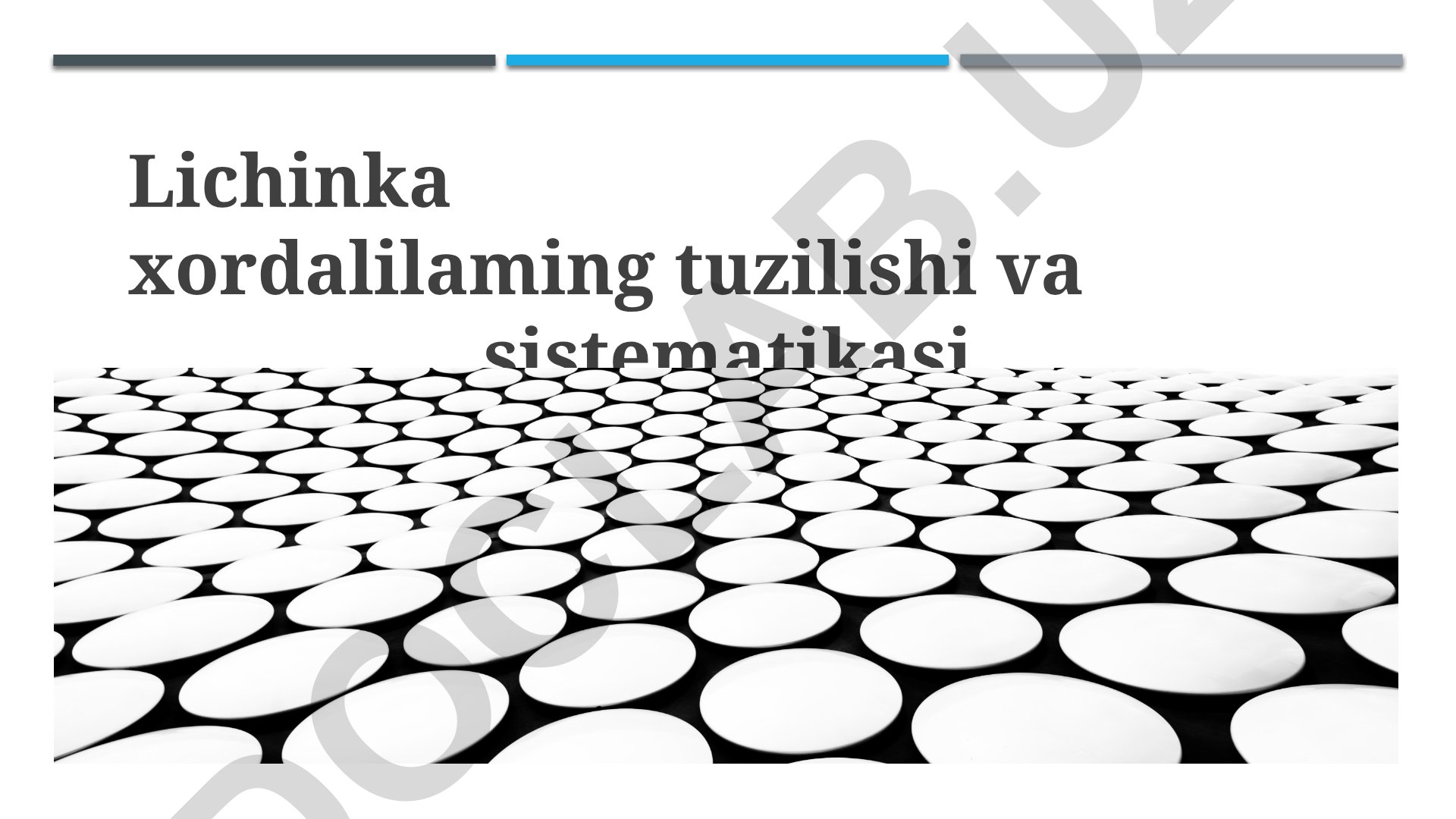 Lichinka xordalilarning tuzilishi va sistematikasi