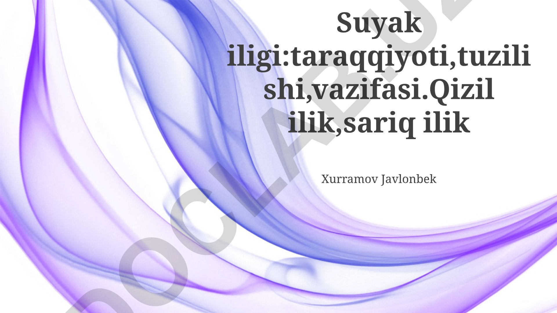 Suyak ko'migining taraqqiyoti, tuzilishi va vazifalari