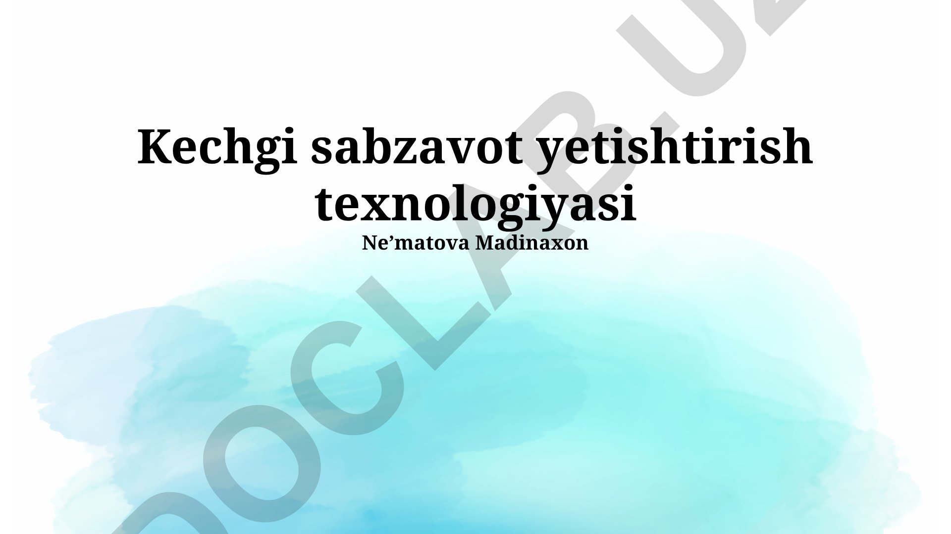 Kechgi sabzavot yetishtirish texnologiyasi